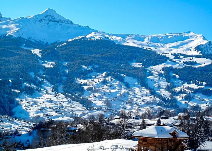 Ufem Stutz By Interhome Appartement Grindelwald